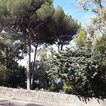 Posidonia 4* Castellabate