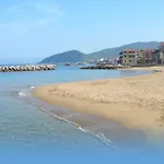 Posidonia