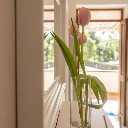 Posidonia فندق مبيت وإفطار