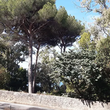 Posidonia 4* Castellabate