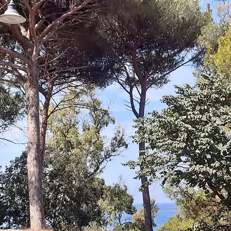 Posidonia فندق مبيت وإفطار 4*