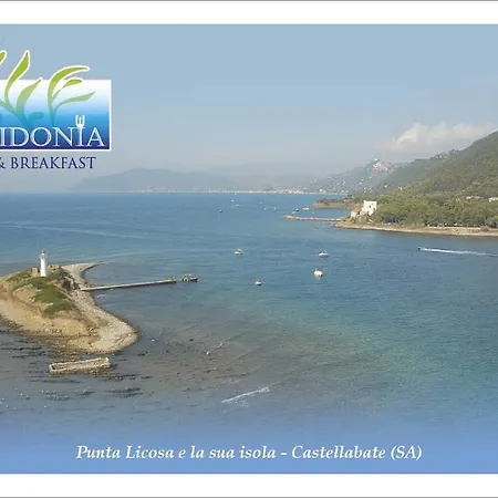 فندق مبيت وإفطار Posidonia