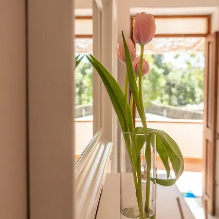 Bed & Breakfast Posidonia 3*