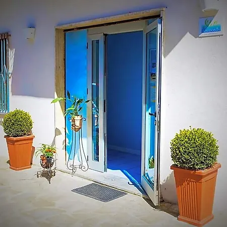 Posidonia