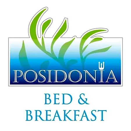Posidonia 4* 卡斯特拉巴特