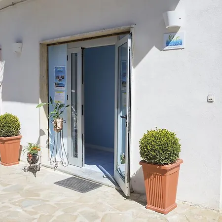 Posidonia 4*
